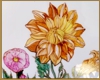Bild 046