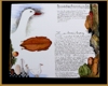 Bild 071