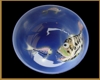 Bild 086